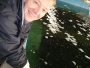 Prawn Farm