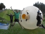 Zorb